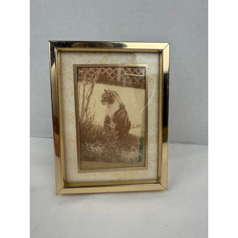 Vintage Sepia Cat Print in Gold Tone Metal Picture Frame 4.75 x 6.25